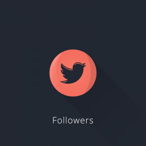 Twitter Followers